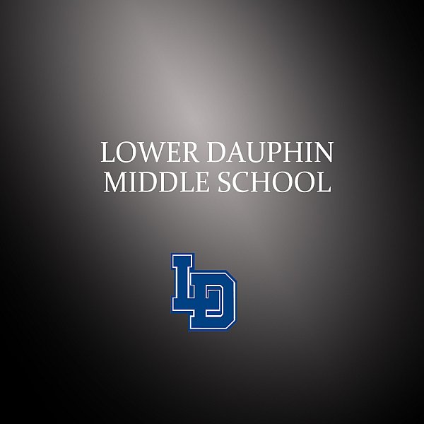 LD_MS.jpg