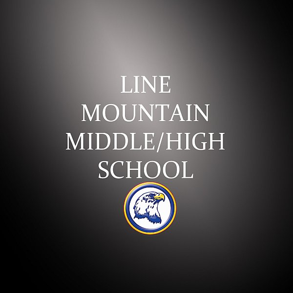LM HS MS.jpg